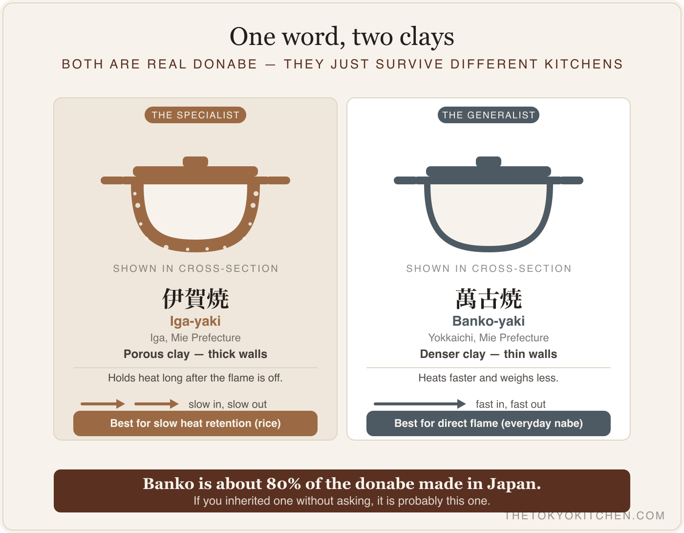 Side-by-side comparison of Iga-yaki donabe (thick, porous, coarse texture) and Banko-yaki donabe (thin-walled, smooth, glossy), each labeled with its main strength: heat retention versus flame tolerance